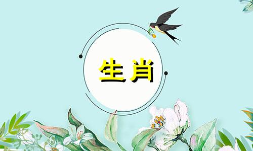 为什么属猴女孩最想念初恋男友