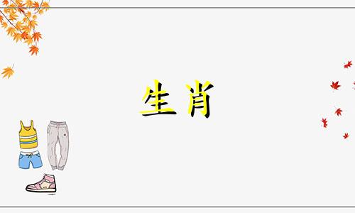 属猴男孩做什么女孩喜欢的事?