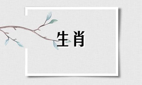 如何判断一个属猴男孩是否有你作为备用