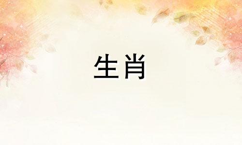 属猴能从婚姻中学到什么