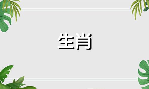 为什么属猴抓不到他喜欢的人