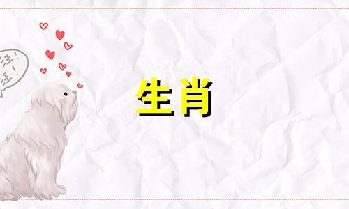 属猴男孩喜欢什么样的女朋友?