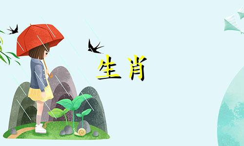 属猴爱情商不高怎么办