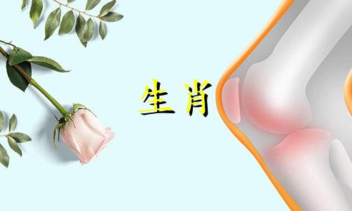 如何判断一个属猴女孩是否只是一个备用的