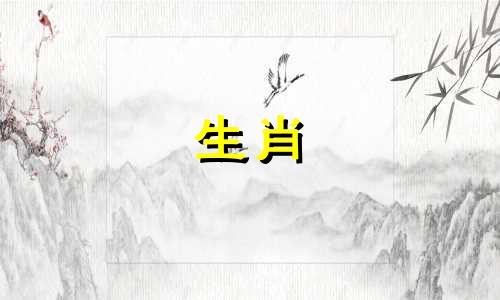 兔子女孩配属鼠男人吗?