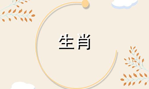 属羊的女人配属龙的男人吗?