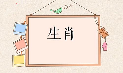 属龙女和猪男结婚合适吗?