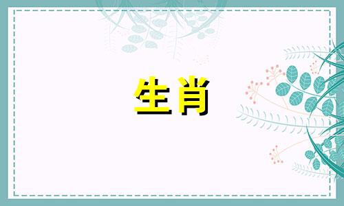 属龙的女人配得上属鼠的男人吗?