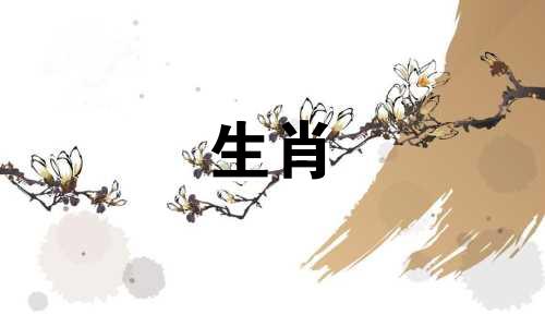 小鼠和兔子兼容吗?属鼠和兔子能兼容吗?