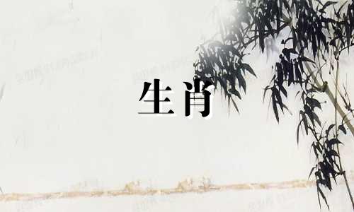 属猴女人和猪男人相配吗?