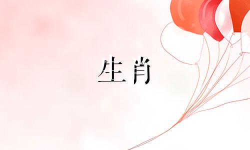 兔子和马不能生属鼠吗?