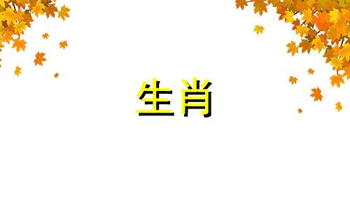 鸡女人和猪男人相配吗?