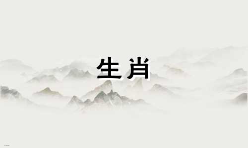 猪女人配得上鼠男人吗?