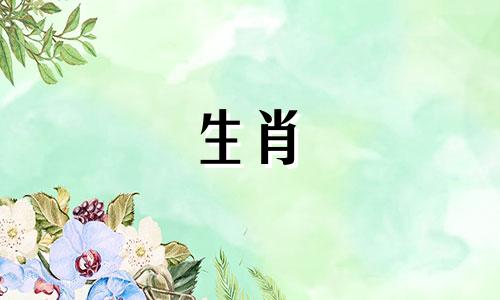 如何在90年嫁给马男,97年嫁给牛女