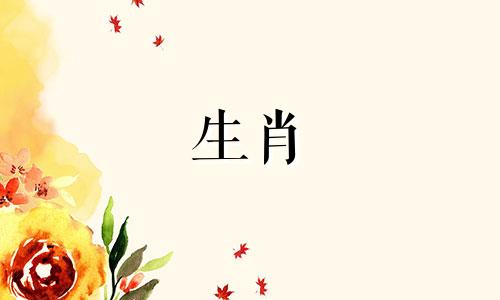 猪女和属龙男结婚合适吗?