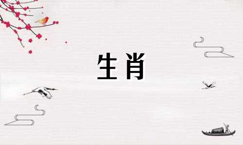 属虎和牛能和睦相处吗?牛虎夫妻幸福吗?