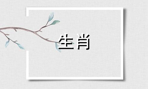 牛和猪是怎么一起发财的?牛和猪发财了吗?