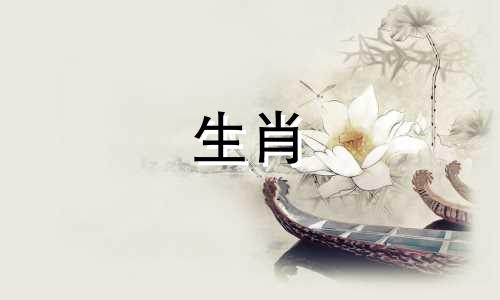 如何在90年嫁给爱马的男人，99年嫁给爱兔的女人