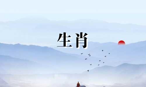 如何在90年嫁给一个爱马的男人,94年嫁给一个爱狗的女人