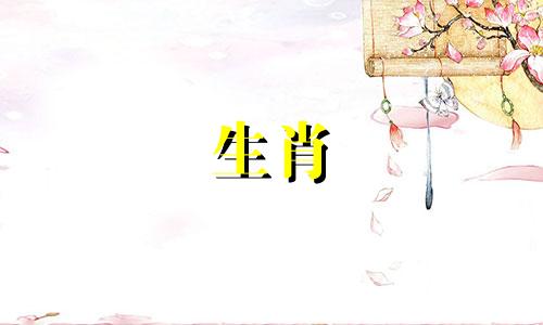 猪女和猪男在婚姻中相配吗?