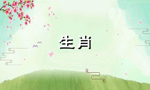 如何在91年嫁给山羊男孩，99年嫁给兔子女孩