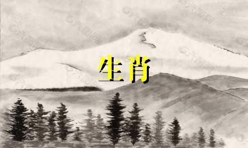 92年的属猴男和96年的属鼠女是如何结婚的