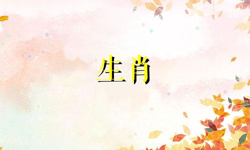 男人是属虎，女人是狗吗?