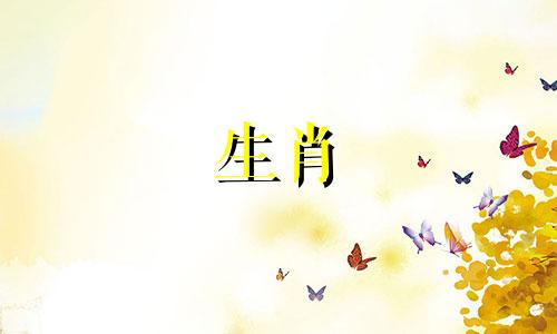 男人属于鸡,女人属于马吗?