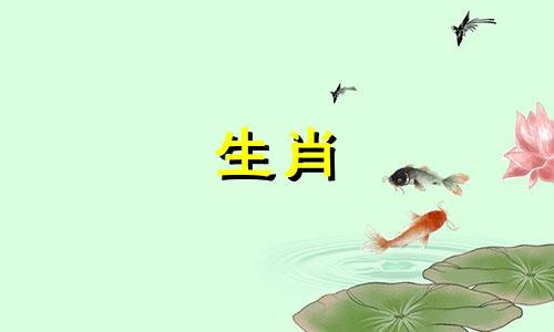 男人是羊，女人是鸡吗?