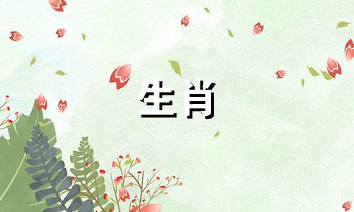 男人属于狗，女人属于马匹配吗?