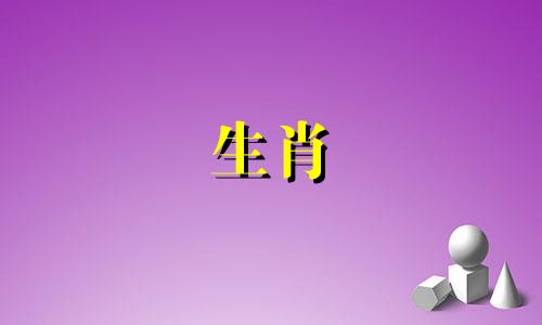 雄鼠和雌蛇?雄鼠和雌蛇?