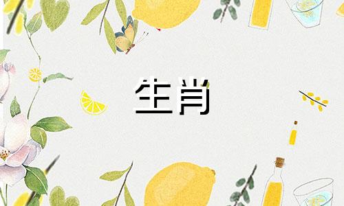 男人属于狗，女人属于属龙匹配吗?