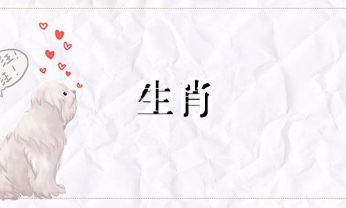 80岁的猴男配得上77岁的蛇女吗?