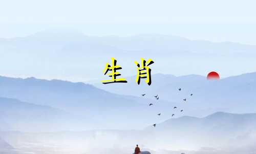 2017年出生的孩子的生命是什么，17鸡年出生的男孩的生命是什么?