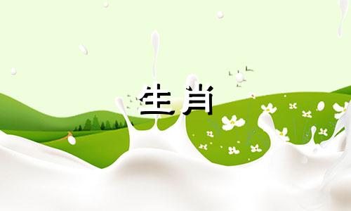 男人狗和女人兔子相容吗?