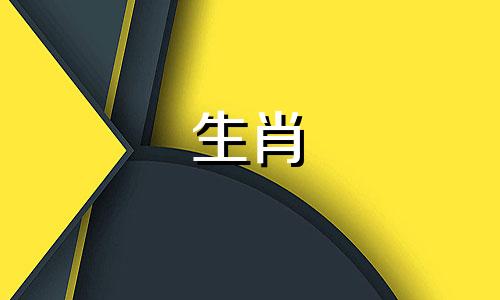 男人属于狗,女人属于羊配吗?