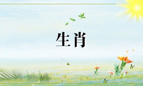 是林匹斯属相容，是林匹斯配对婚姻好