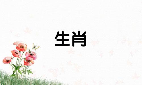 属鼠办公室座椅朝向属鼠办公室应该是什么植物