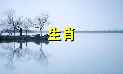 男人是属鼠，女人是牛?