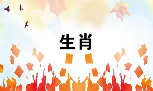 男人是猪，女人是鸡吗?