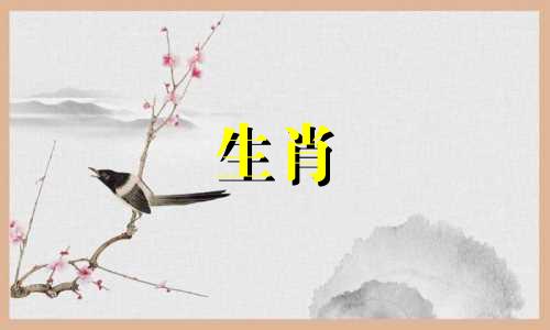 什么样的鼠适合雄性和雌性