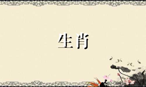 男人是属虎，女人是牛吗?