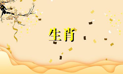 男人属于猪,女人属于属鼠匹配吗?