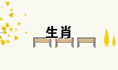 男人是属鼠，女人是猪吗?