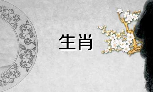 男人是蛇,女人是属龙?