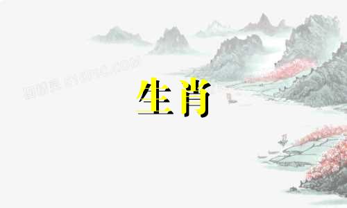 男人是属龙，女人是蛇?