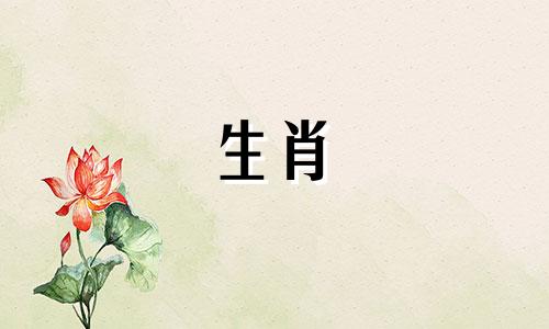 男人是属龙，女人是猪吗?