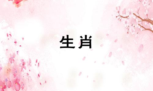 男人属于蛇，女人属于兔子?