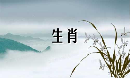 男人是属猴，女人是狗?