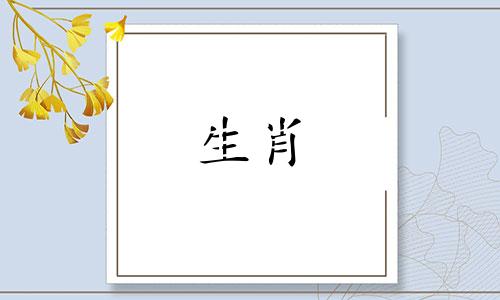 为什么属猴女人对现代男人失望